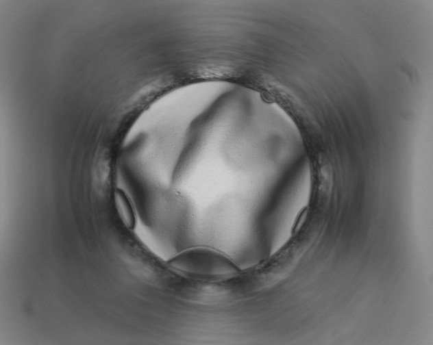 X0000113760308200910141054