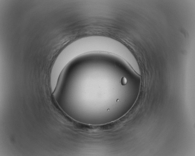 X0000113760309200910141054