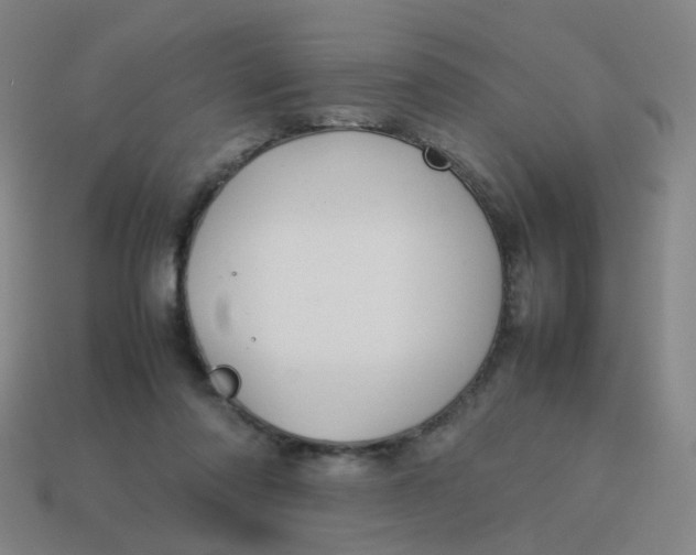 X0000113760310200910141054