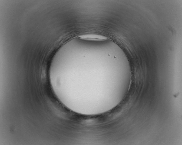 X0000113760312200910141054