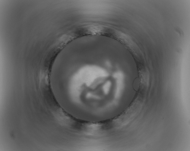 X0000113760313200910141053