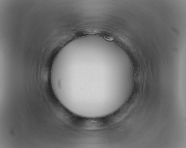 X0000113760315200910141053