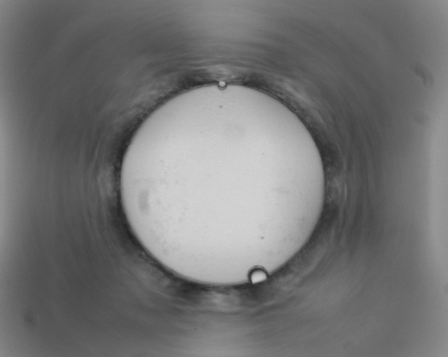 X0000113760317200910141053