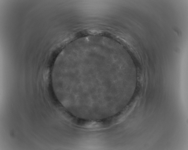 X0000113760319200910141053