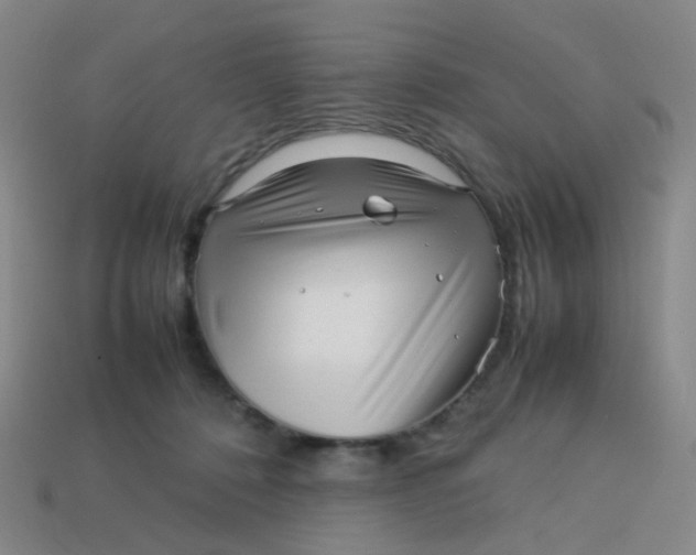 X0000113760320200910141053