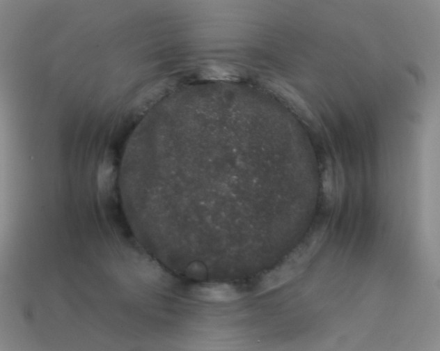 X0000113760322200910141053