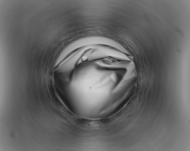 X0000113760324200910141053