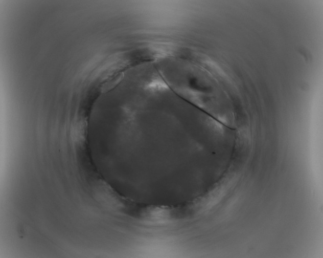 X0000113760325200910141053