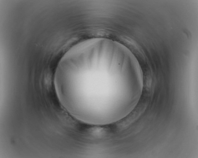 X0000113760326200910141053