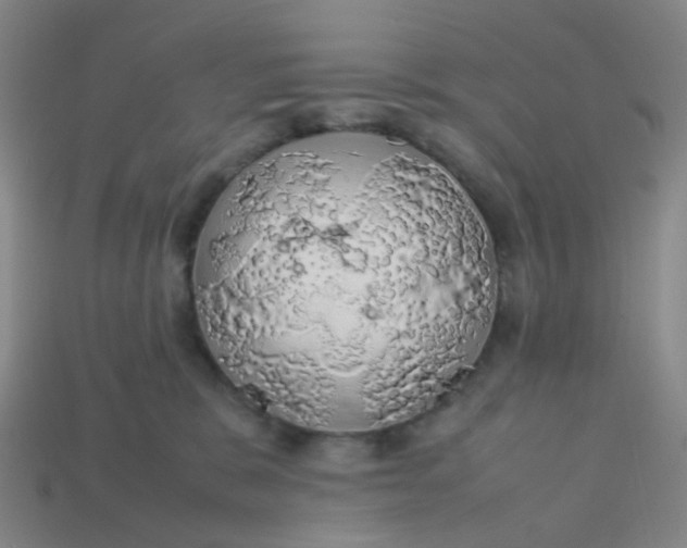 X0000113760327200910141053