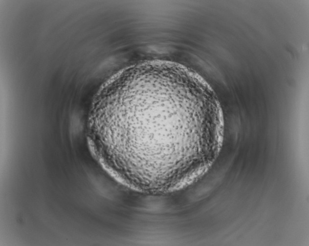 X0000113760328200910141053