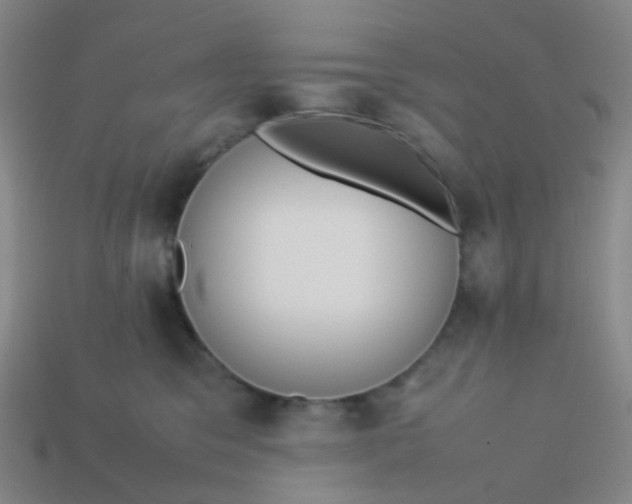 X0000113760329200910141053