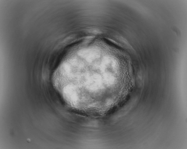 X0000113760330200910141053