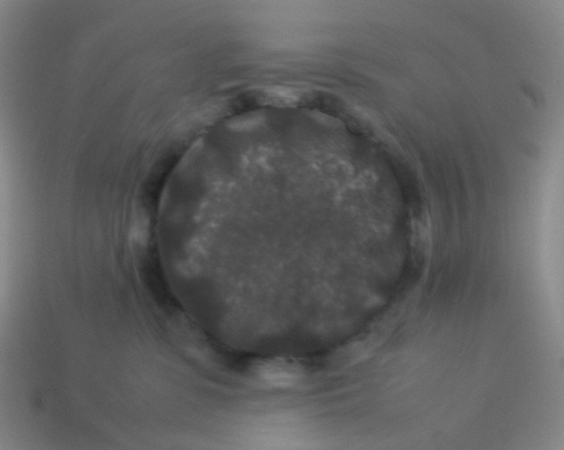 X0000113760331200910141053