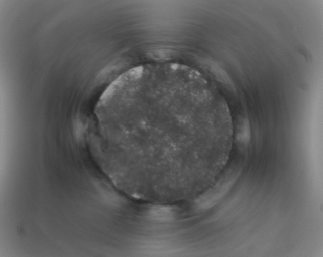 X0000113760332200910141053