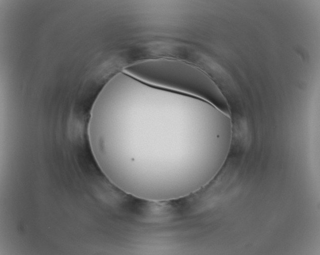 X0000113760333200910141053