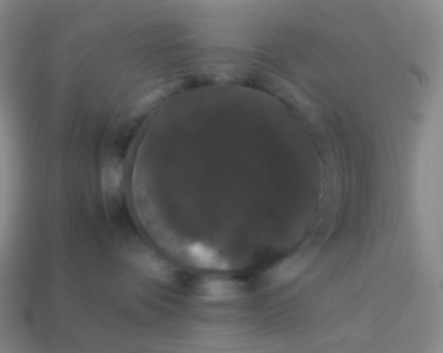 X0000113760336200910141053