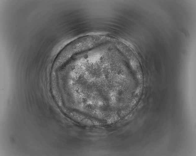 X0000113760337200910141053