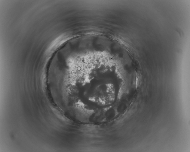 X0000113760339200910141053