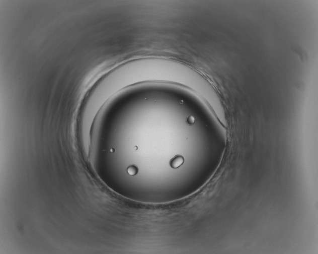 X0000113760340200910141053