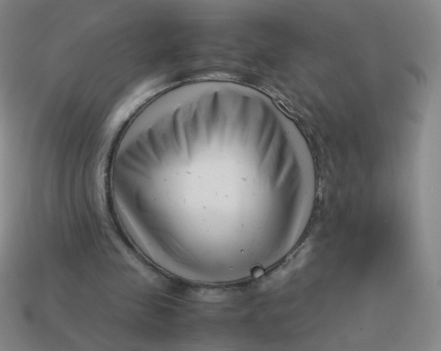 X0000113760341200910141053