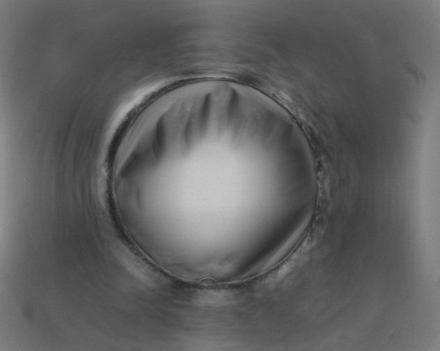 X0000113760342200910141053