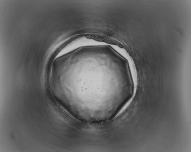 X0000113760343200910141053