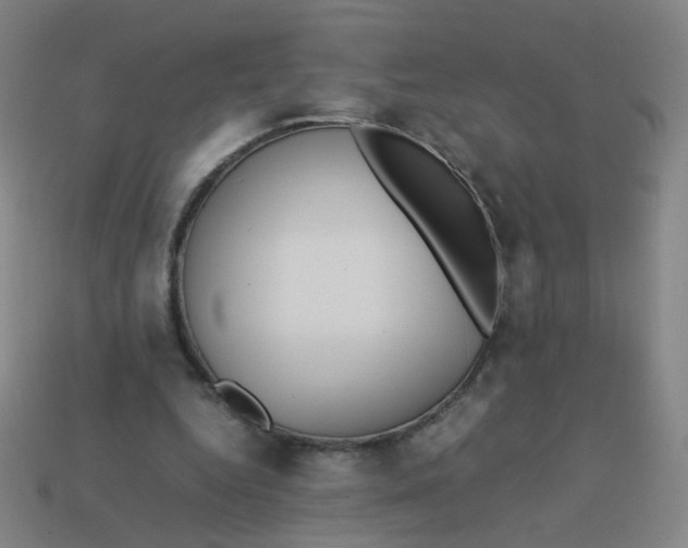 X0000113760344200910141053