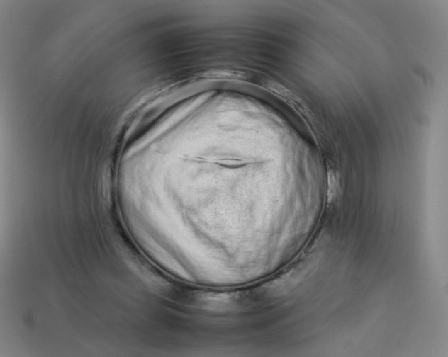 X0000113760349200910141053