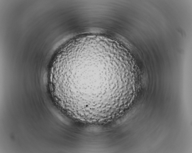 X0000113760350200910141053