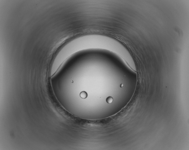 X0000113760352200910141053