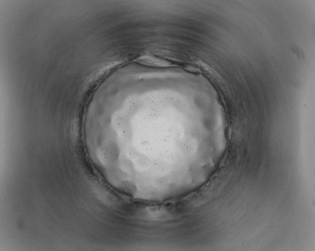 X0000113760353200910141053