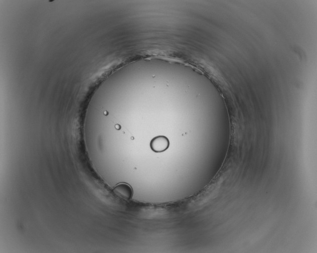 X0000113760354200910141053