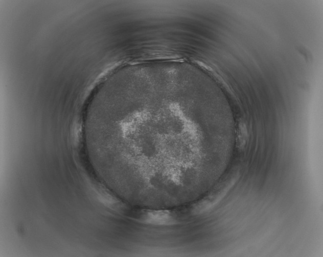 X0000113760355200910141053