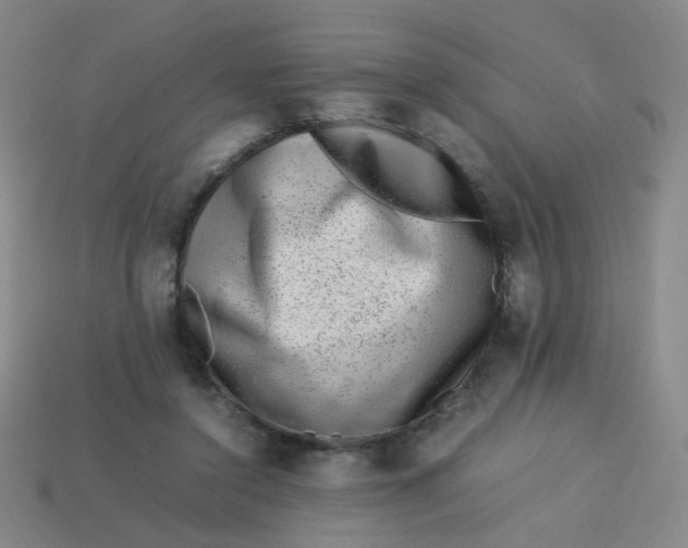 X0000113760356200910141053