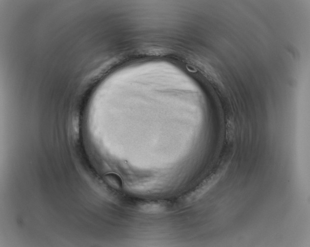 X0000113760358200910141053