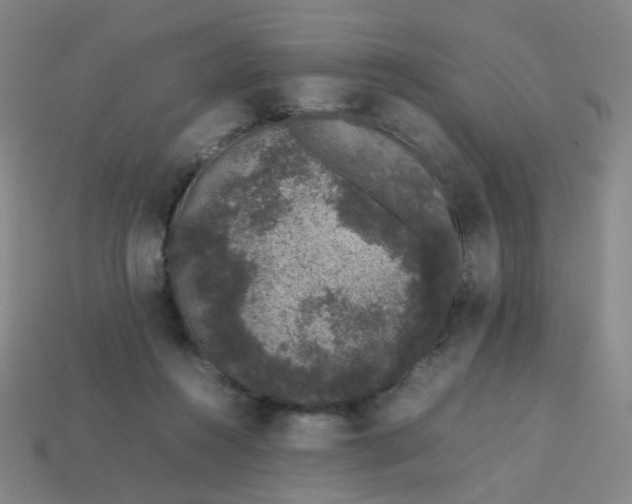 X0000113760360200910141053