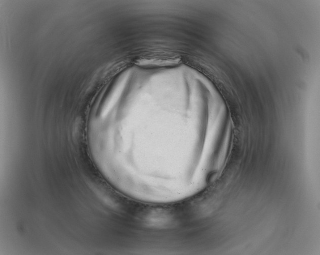 X0000113760361200910141053