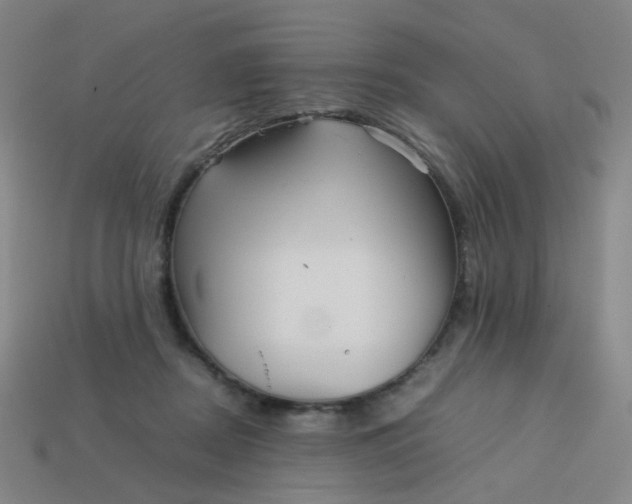 X0000113760362200910141053