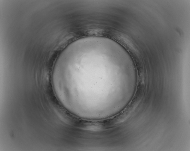 X0000113760363200910141053