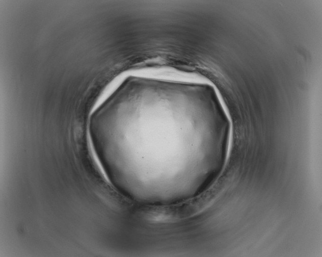 X0000113760365200910141053