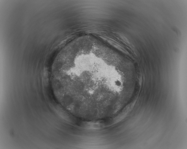 X0000113760366200910141053