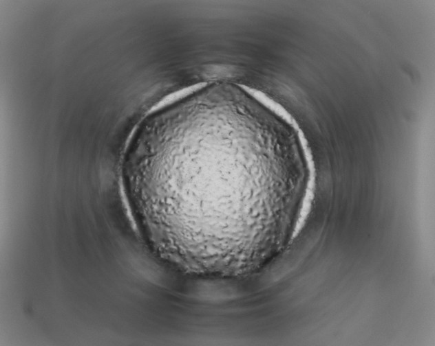 X0000113760367200910141053