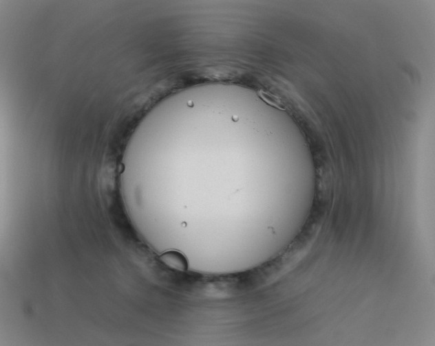 X0000113760368200910141053