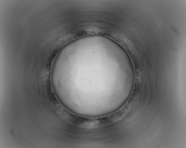 X0000113760369200910141053