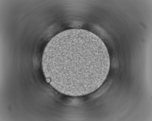 X0000113760370200910141053