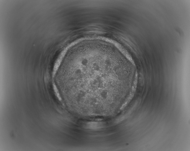 X0000113760371200910141053