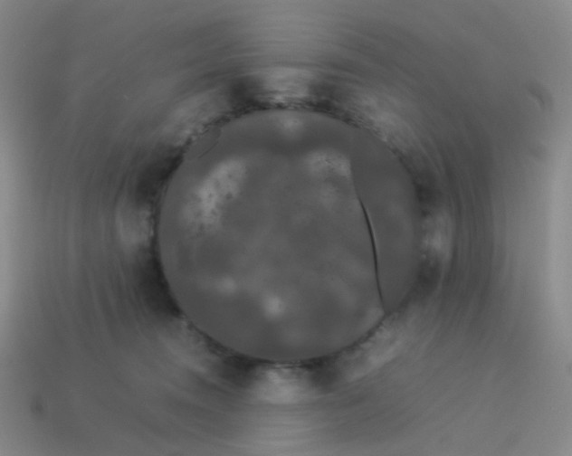 X0000113760372200910141053