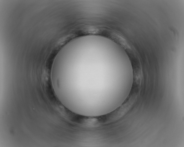 X0000113760374200910141053