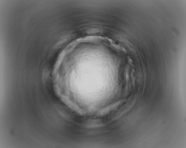 X0000113760375200910141053